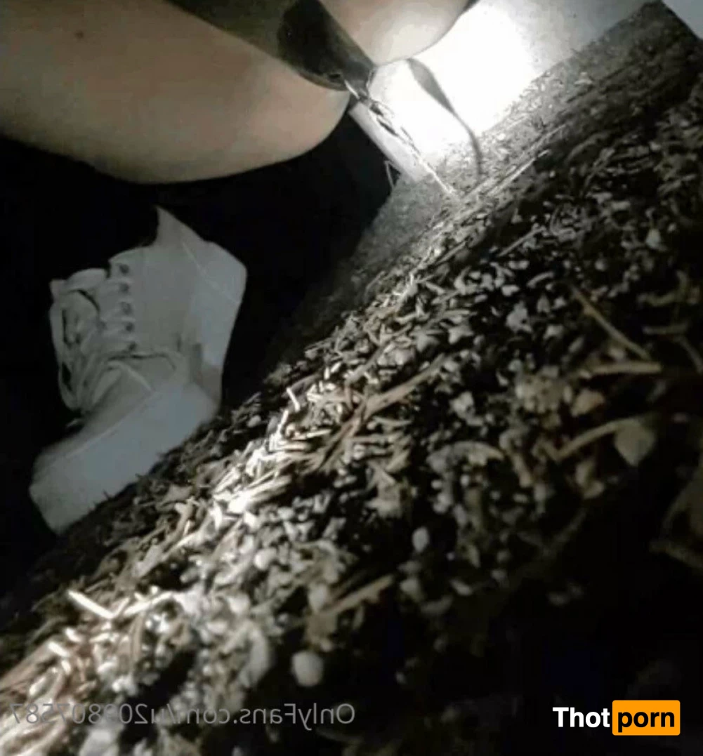 _princess_95 6892668