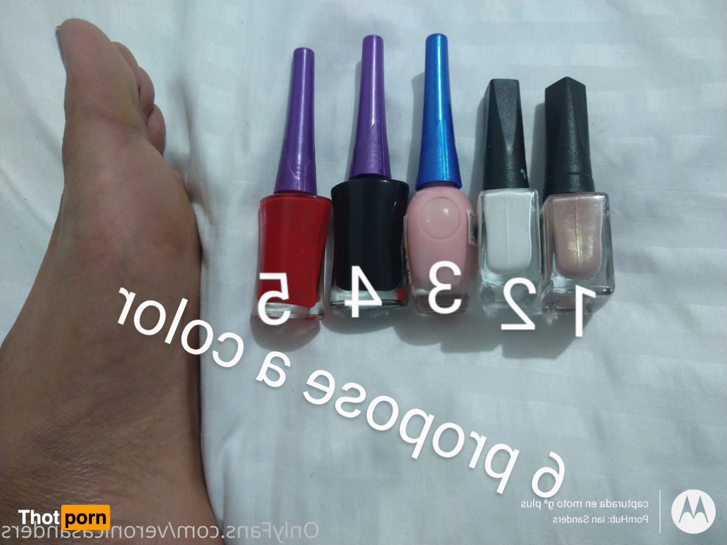 Veronica Sanders 6509965