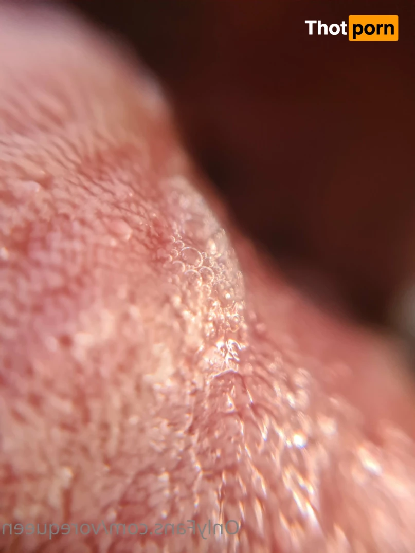 Voracious Vixen 6887646