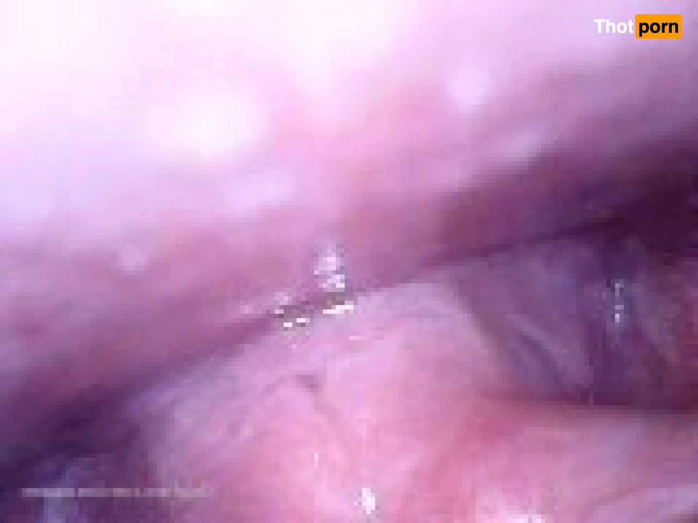 Voracious Vixen 6887715