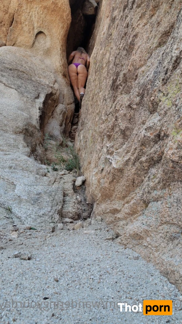 Wanderingyourdaydreams 6482289