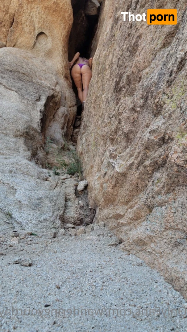 Wanderingyourdaydreams 6482467