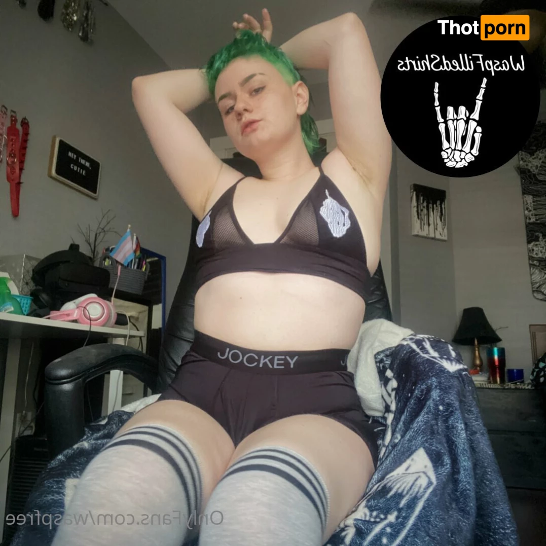 Wasp🏳️‍⚧️ 6742413