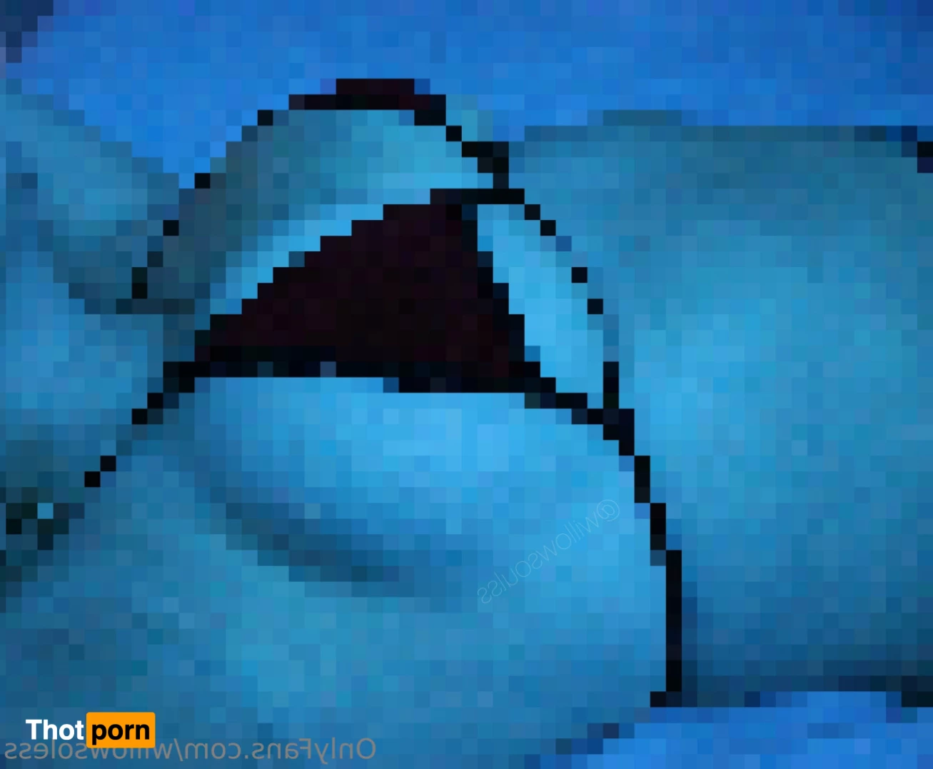 Willowsoless FREE 10428374