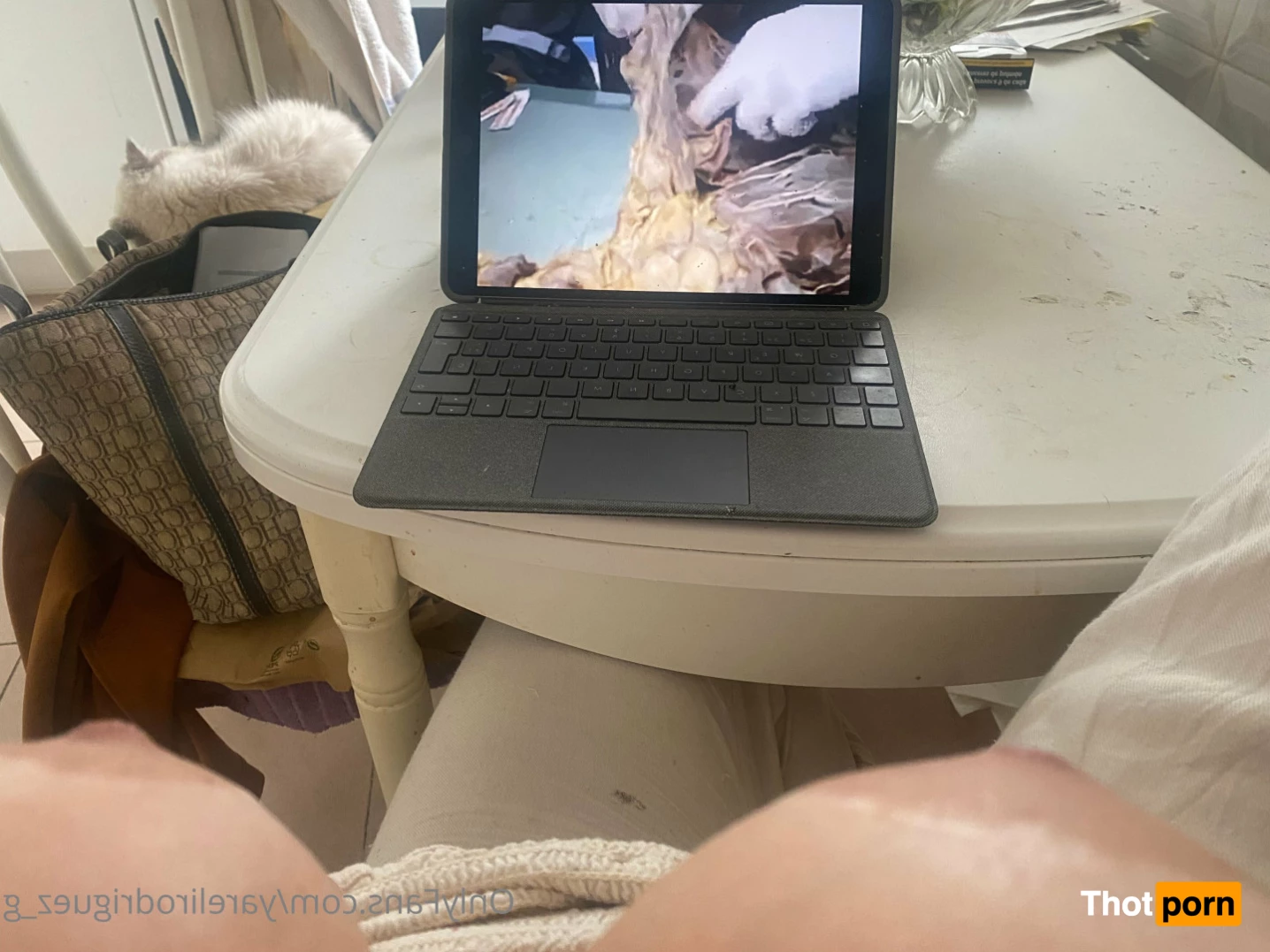 Yareli Rodriguez 6772823