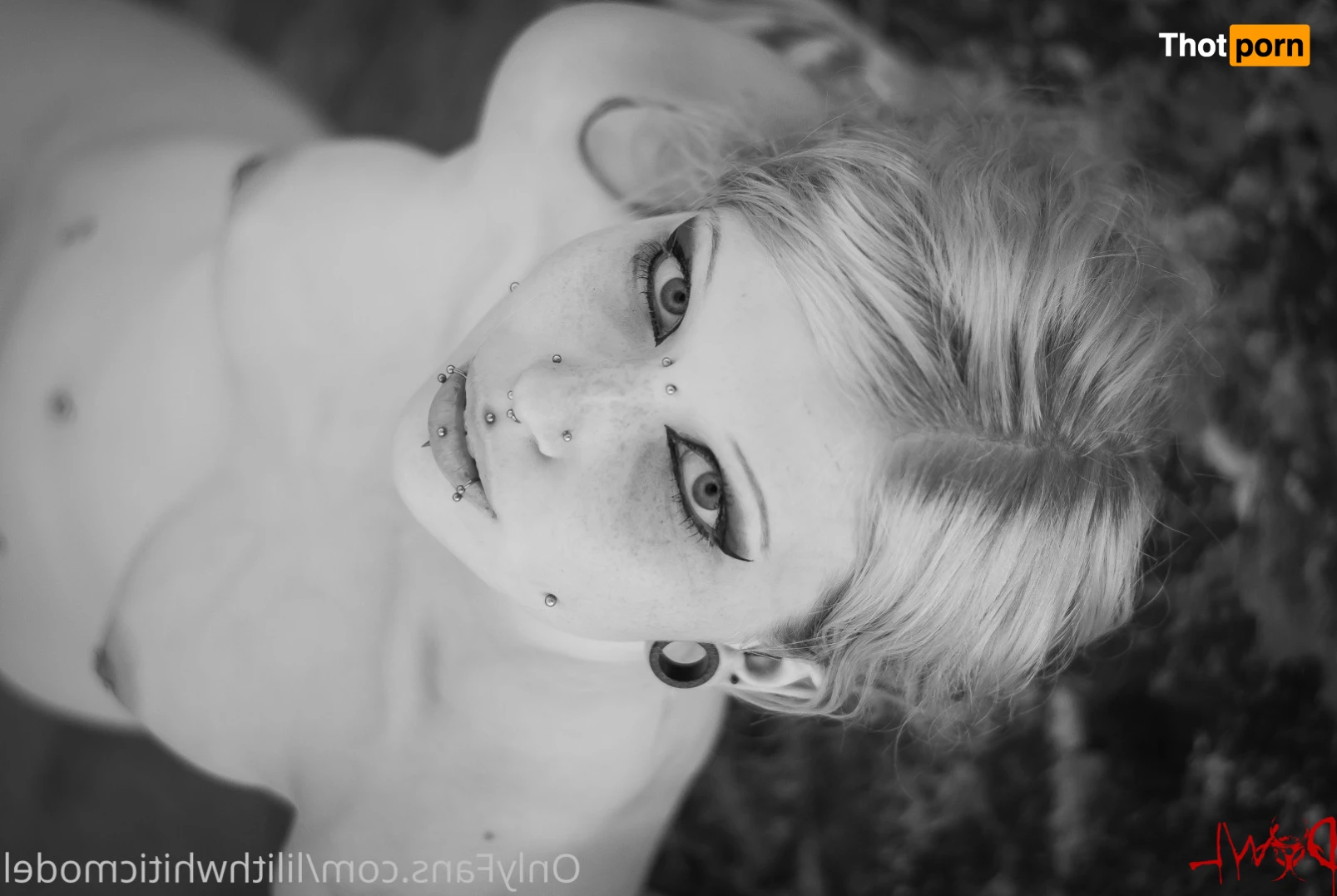 Lilith Whitic 7814748