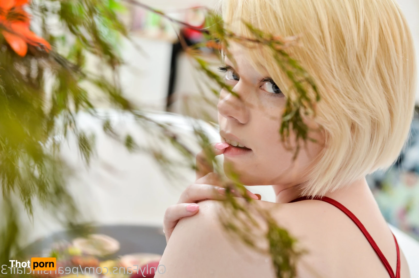 Knox Sinclair 7855185