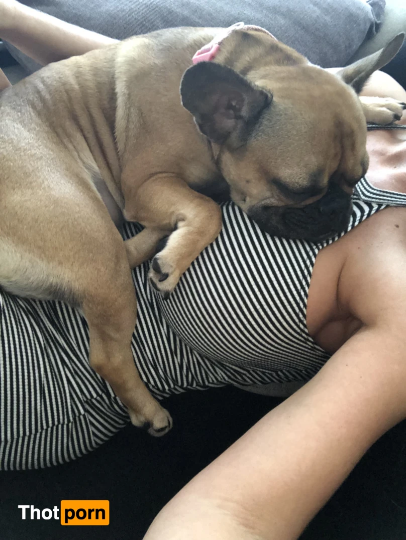 Ainslee Divine 16367347