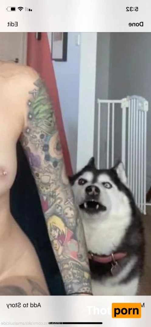 Akiramai 😋 16386420