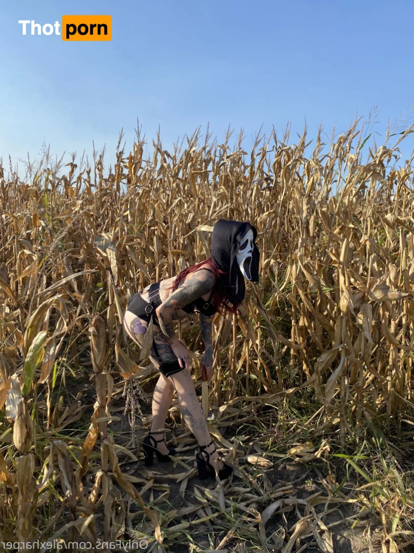 Alex Harper 15889861