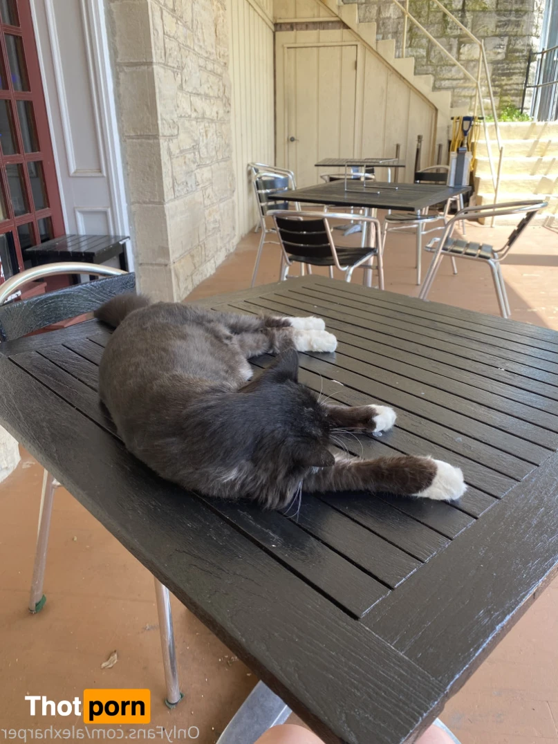 Alex Harper 15889934