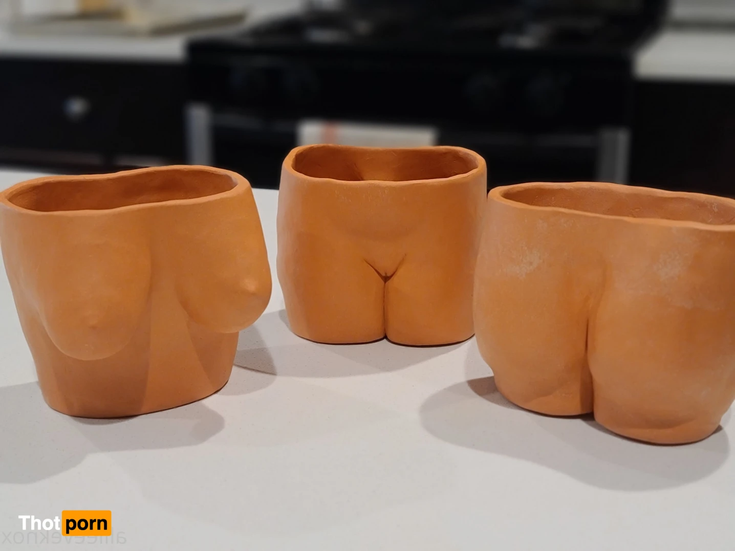 allieeveknox 15407209