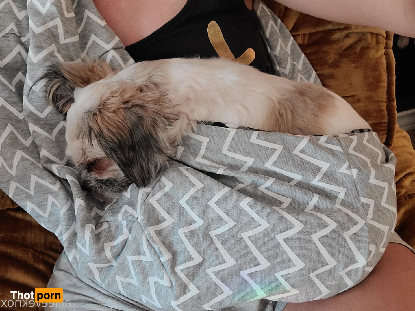 allieeveknox 15410998