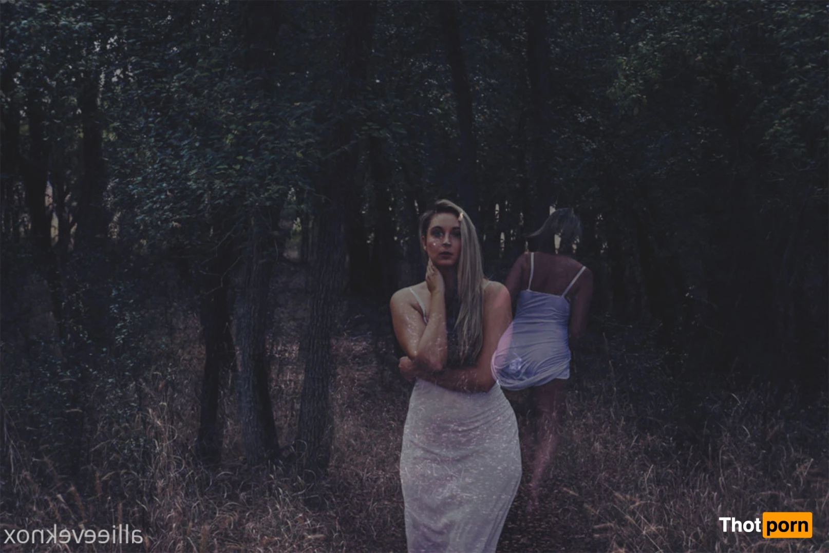 allieeveknox 15412107