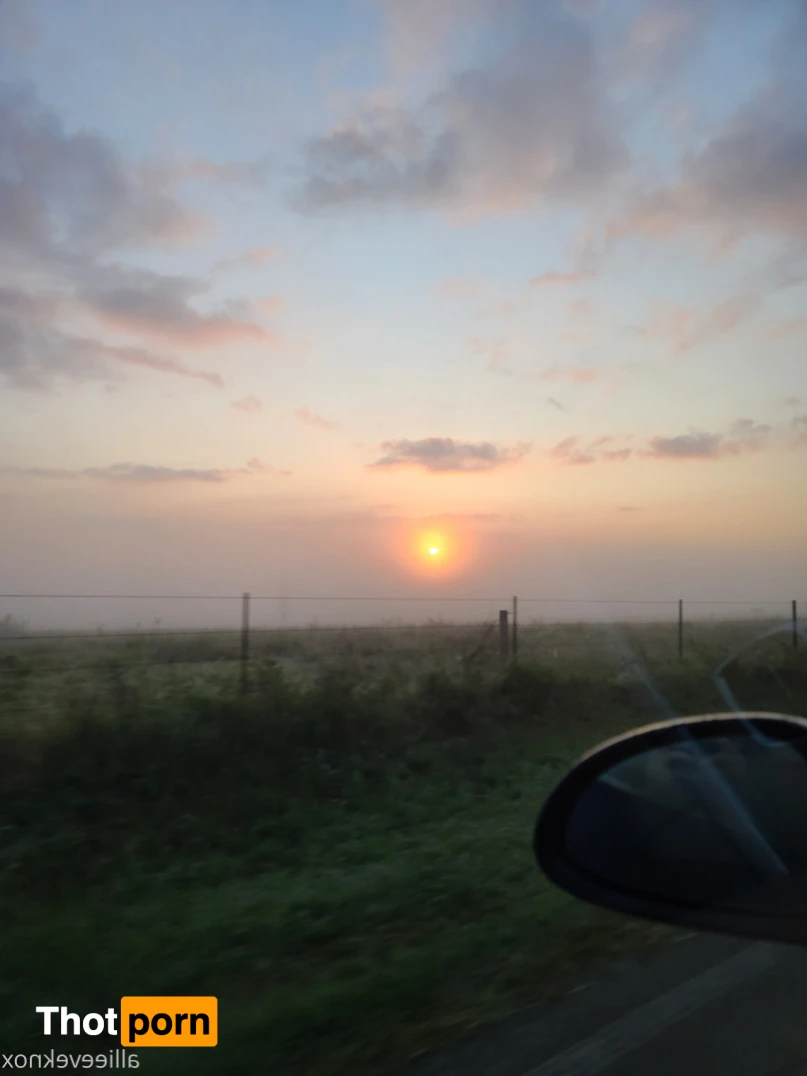 allieeveknox 15423869