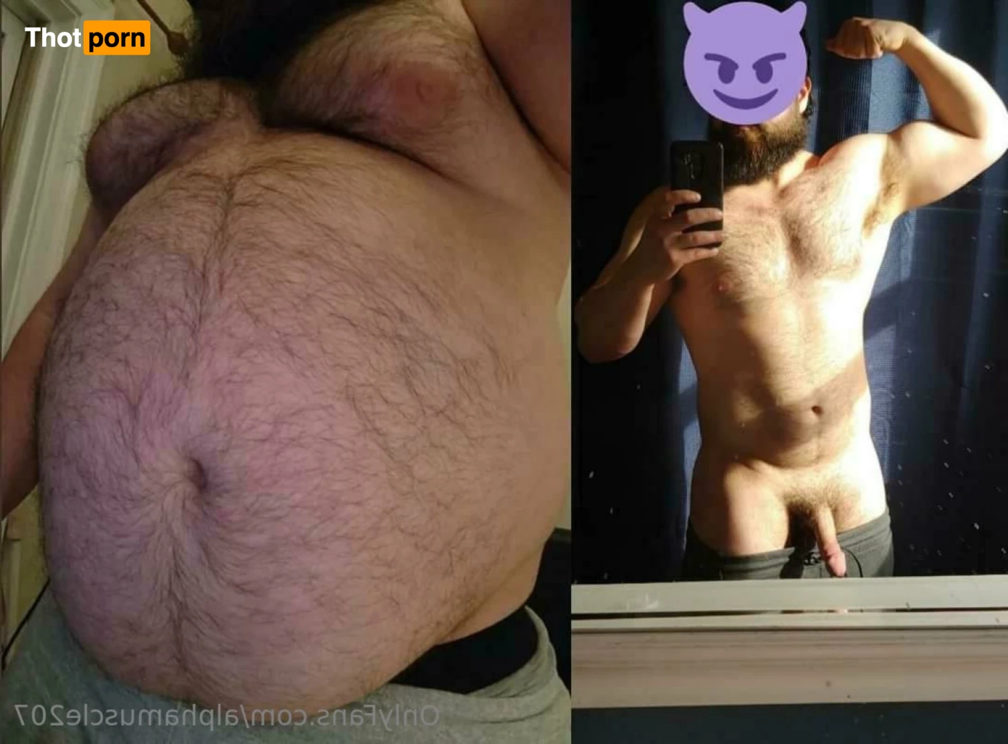 AlphaMuscleGut 13068387