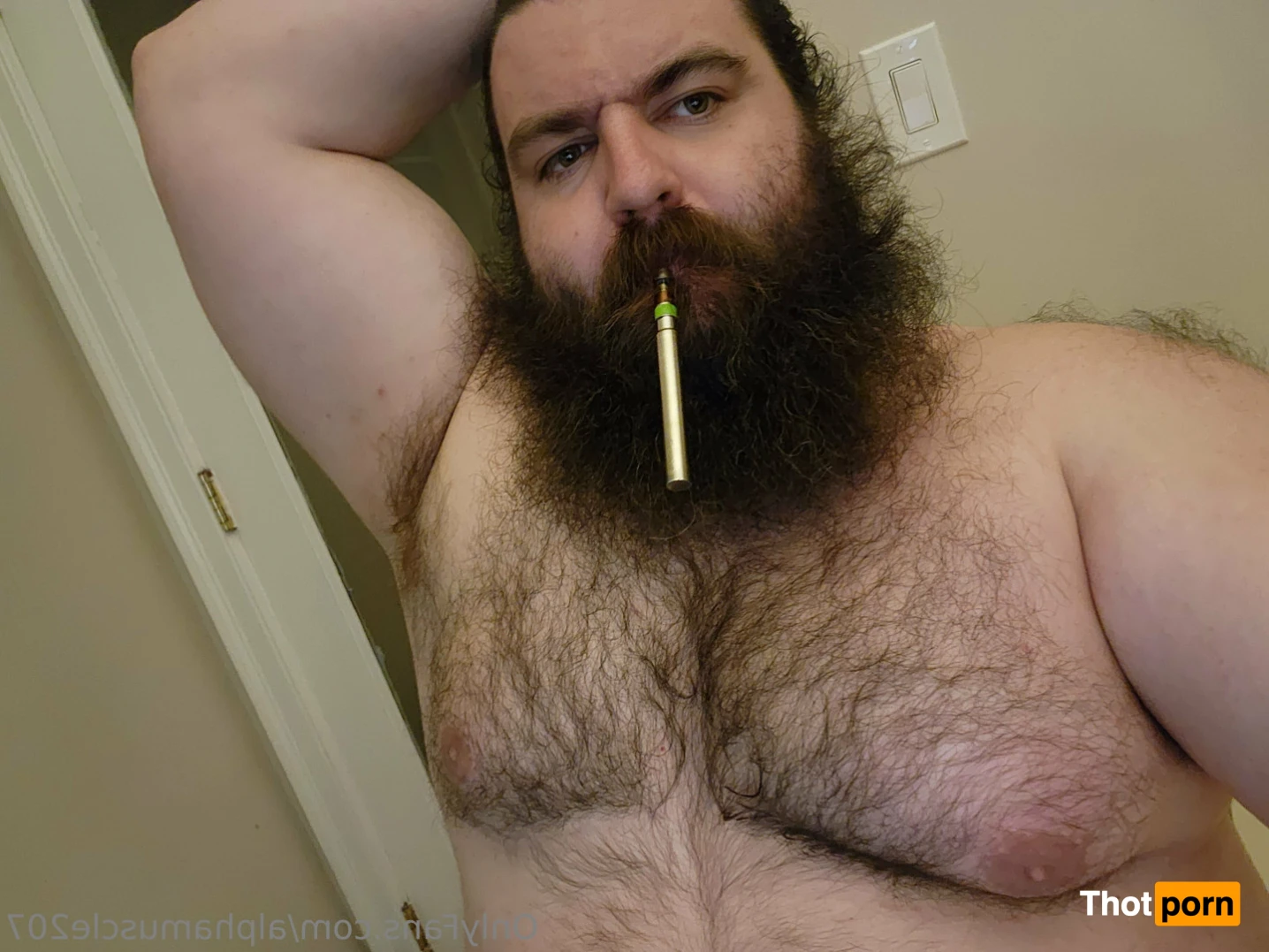 AlphaMuscleGut 13068599