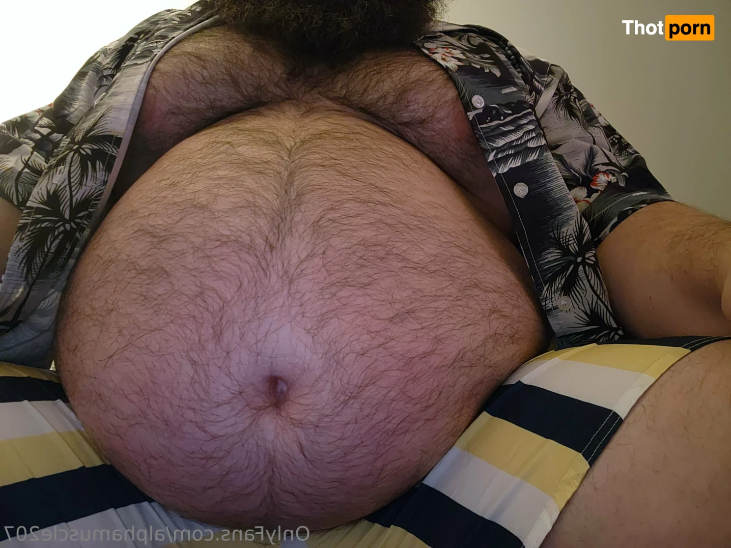 AlphaMuscleGut 15655778