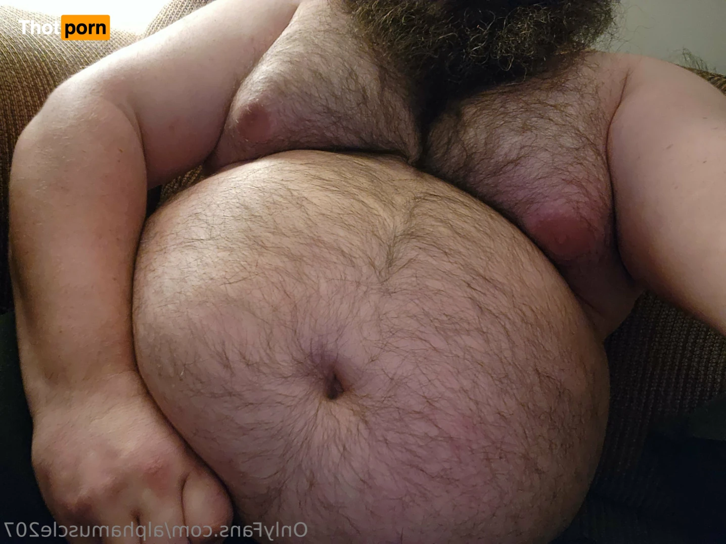 AlphaMuscleGut 15655989