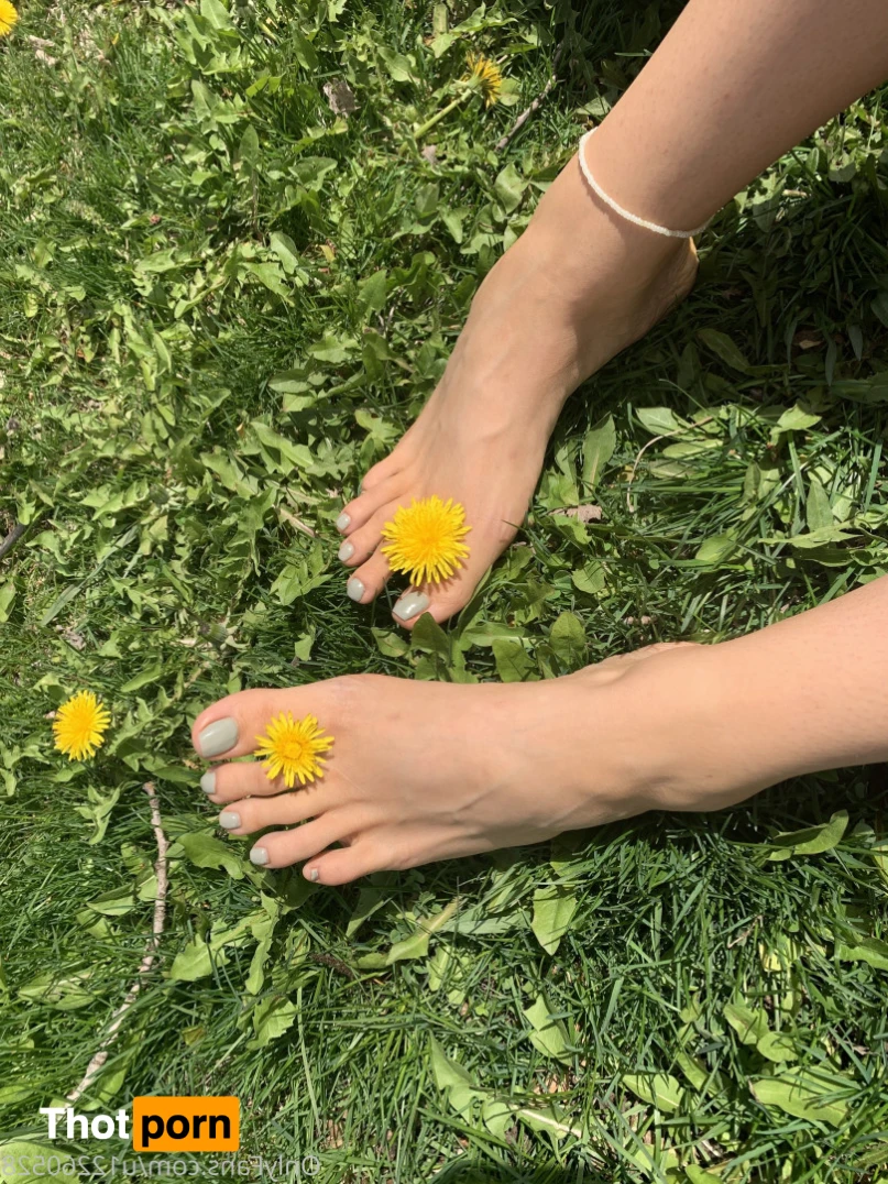 amberskyetoesies 12495508