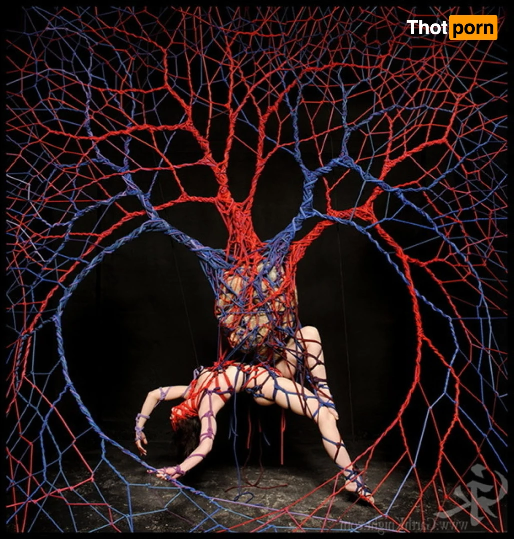 𝚃𝚑𝚎𝔸𝕟𝕕𝕣𝕠𝔻𝕠𝕞 9730609