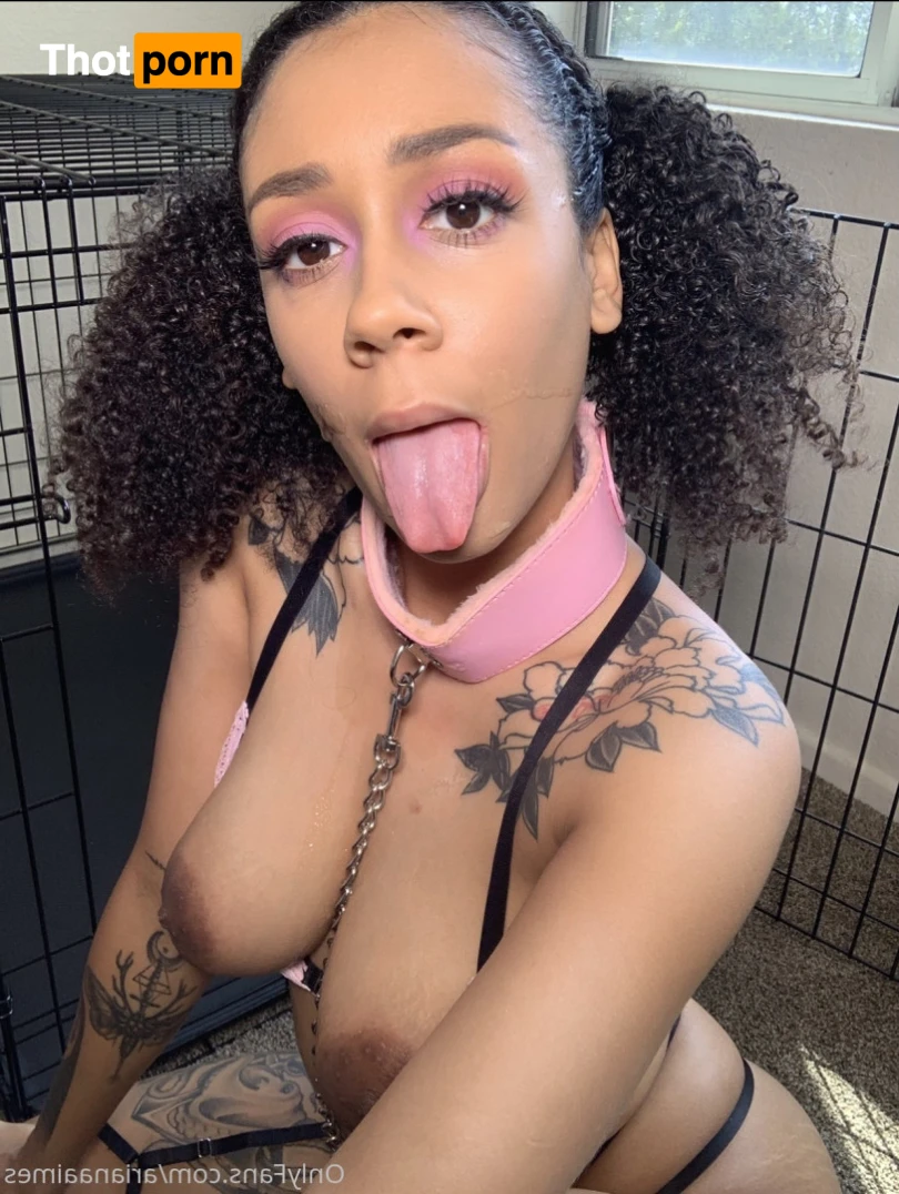 Ariana Aimes 14736286