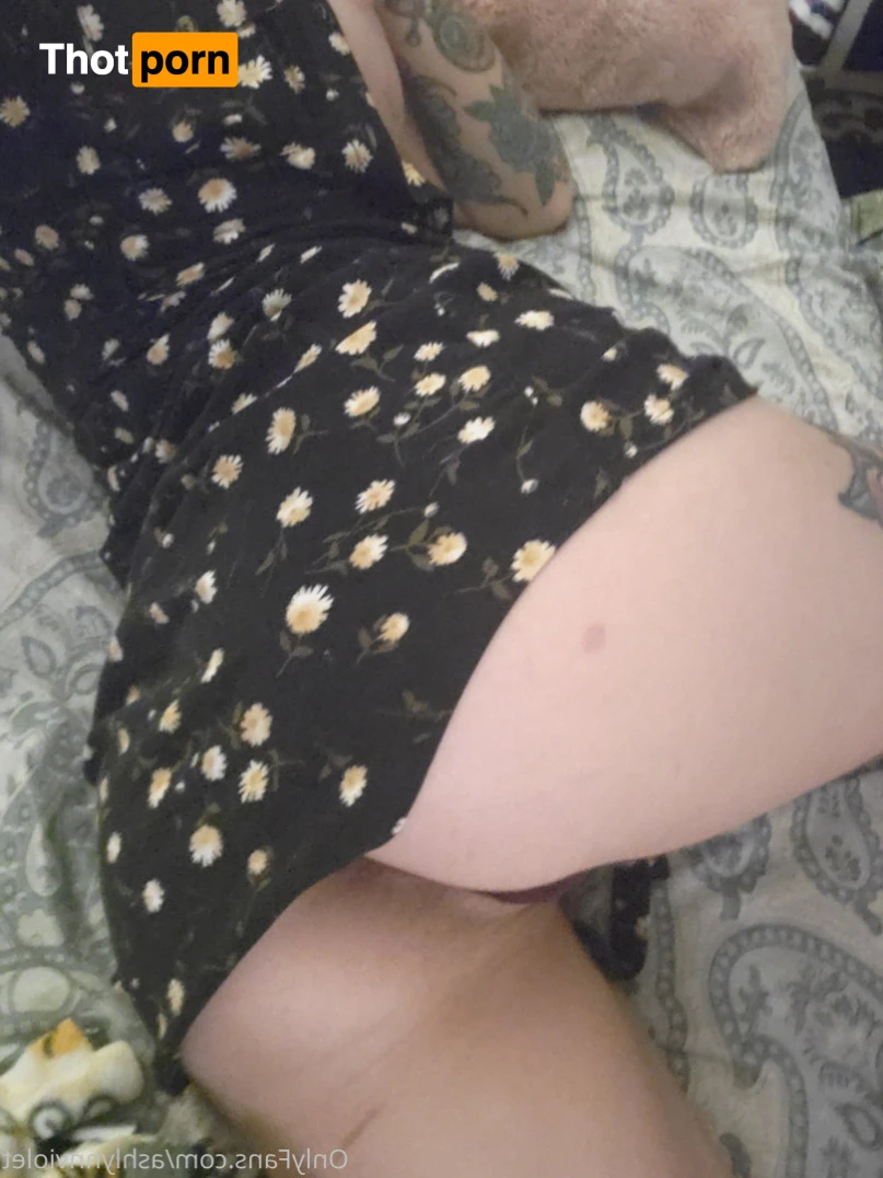 AshlynnViolet 12558084