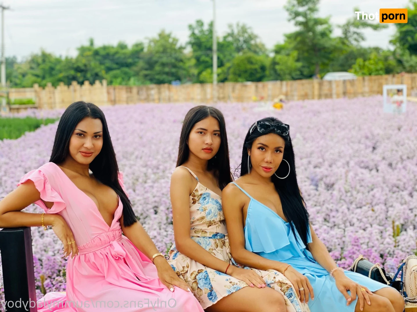 ⭐️AummyAmyLadyboy VIP acc hot content 🔞🔥 12529594