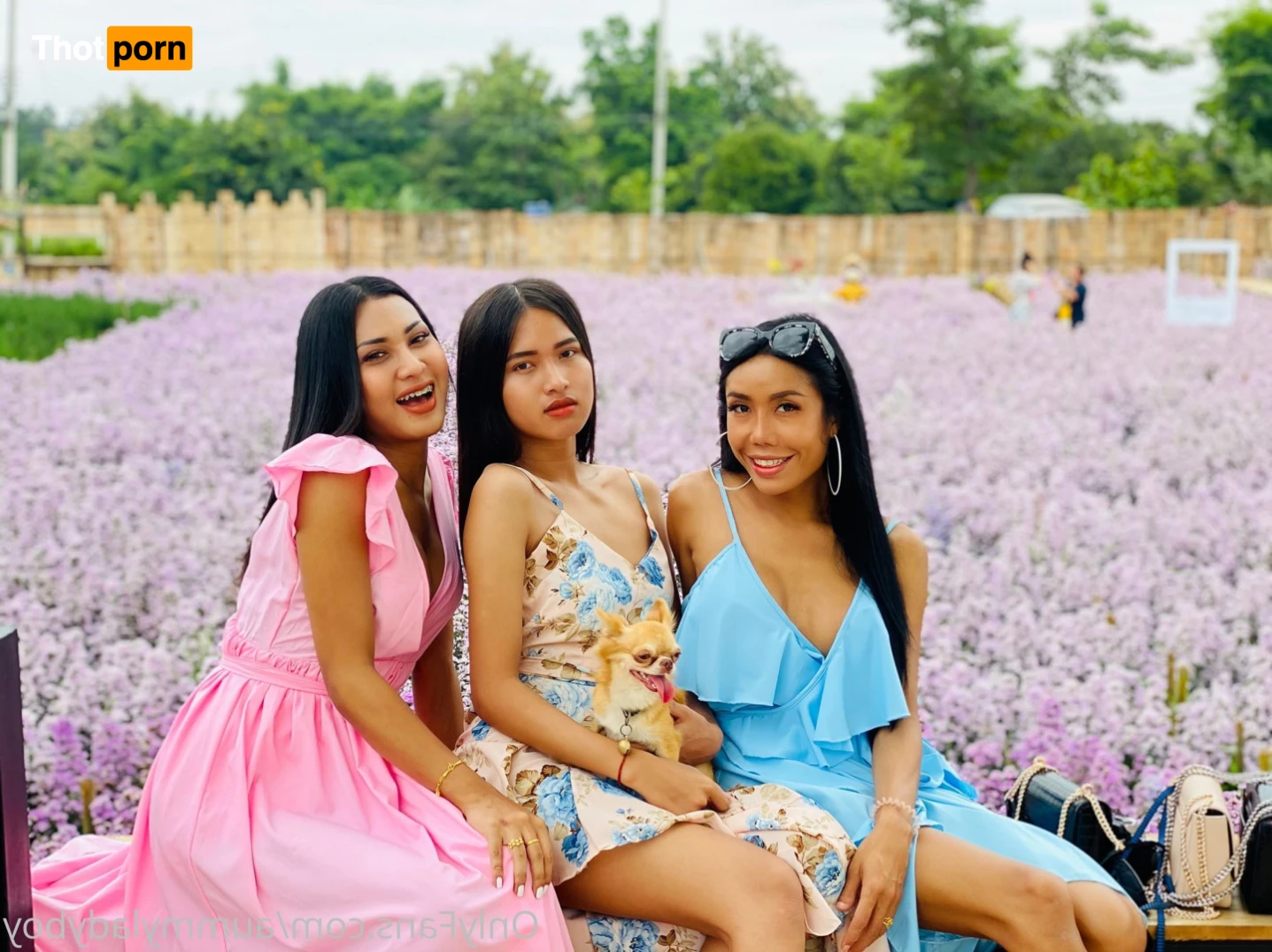 ⭐️AummyAmyLadyboy VIP acc hot content 🔞🔥 12529873