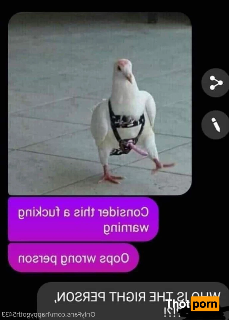 Spice your life 13588819