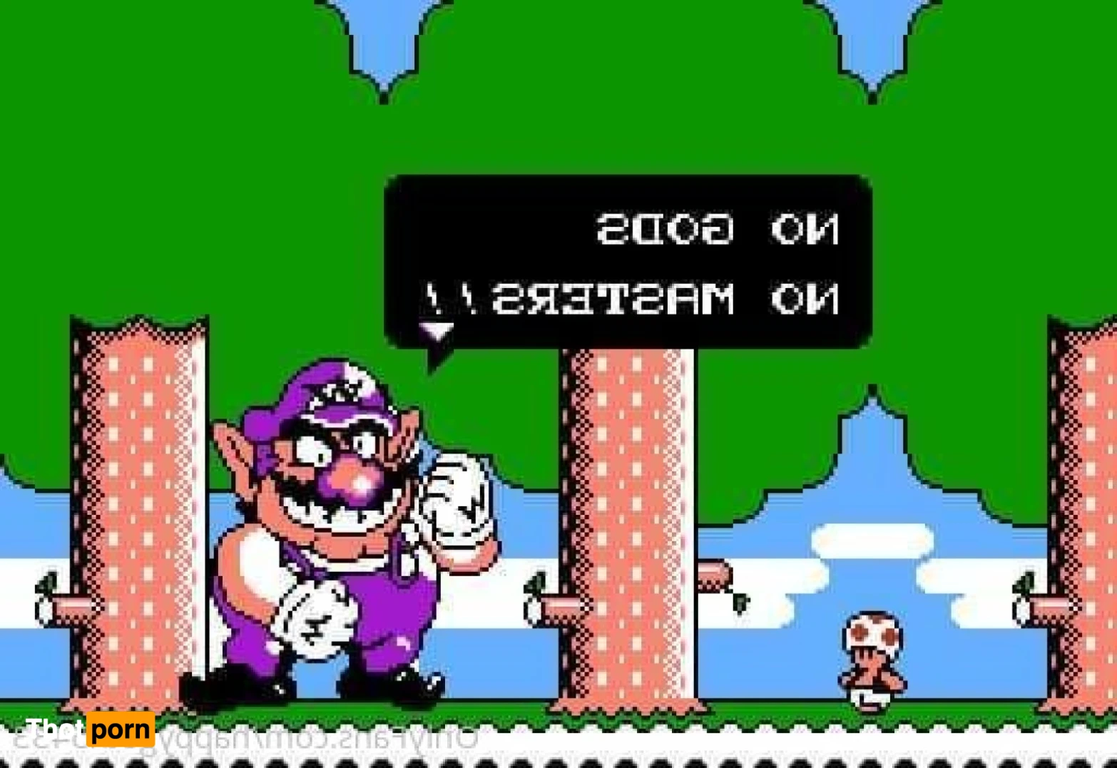 Spice your life 13595105