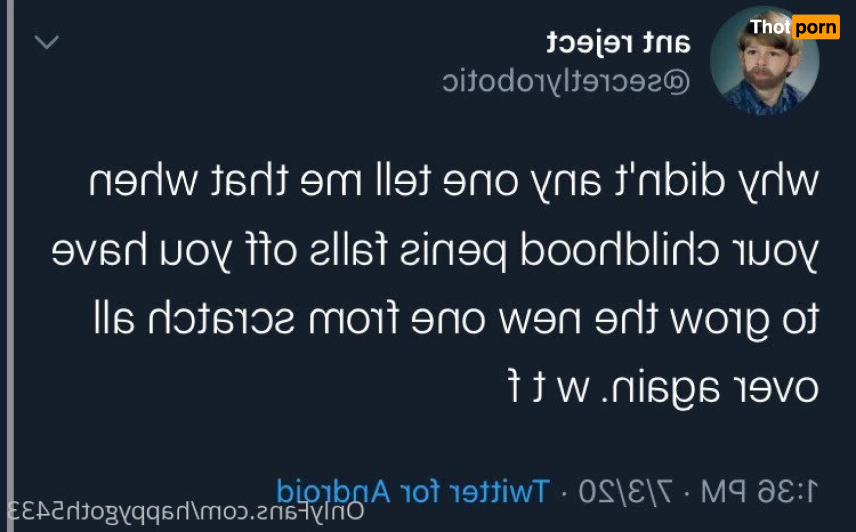 Spice your life 13596983