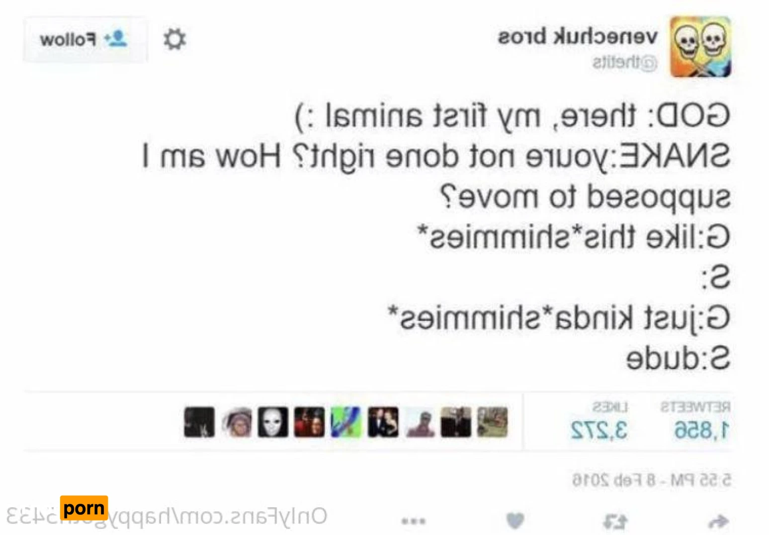 Spice your life 13617957