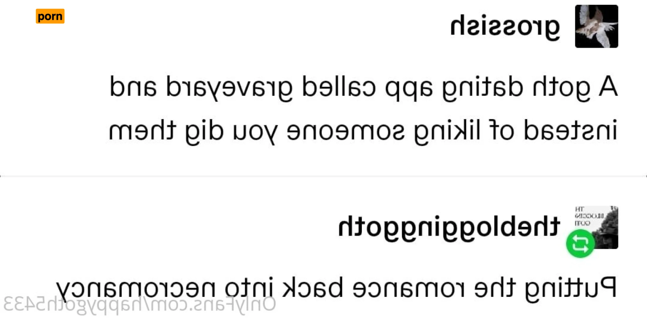 Spice your life 13645227