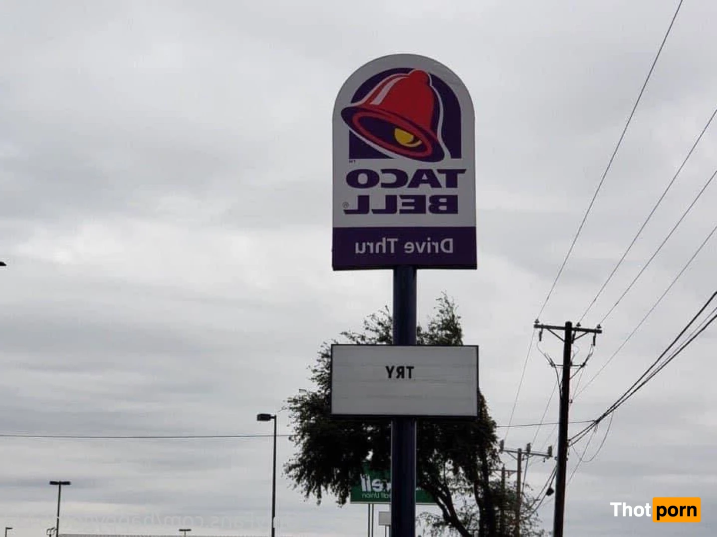 Spice your life 13684011