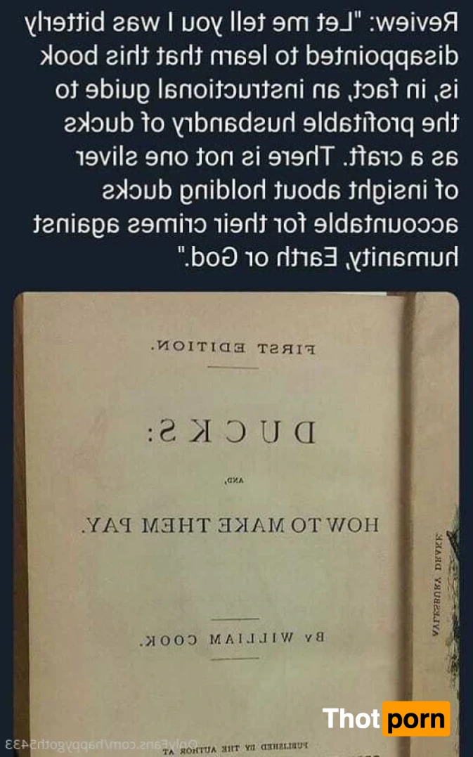 Spice your life 13686035