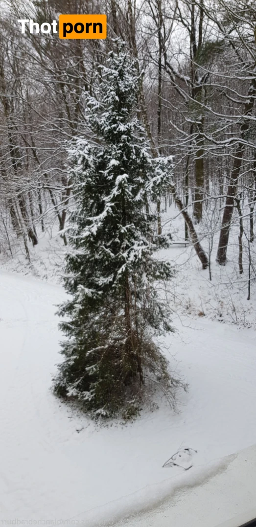 Blanche Bradburry 14785197