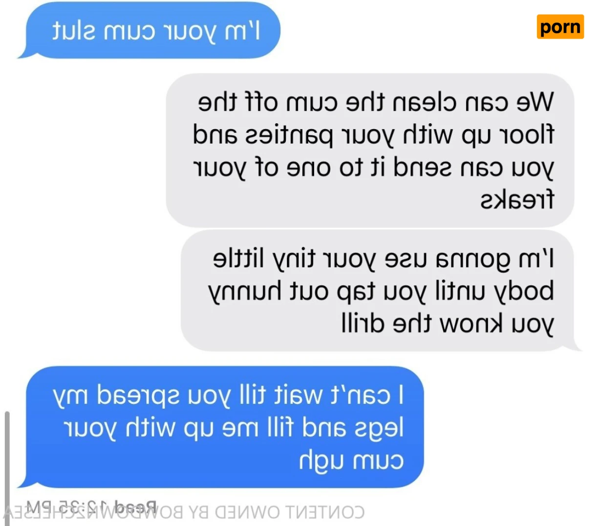 Princess Chelsea 14619764