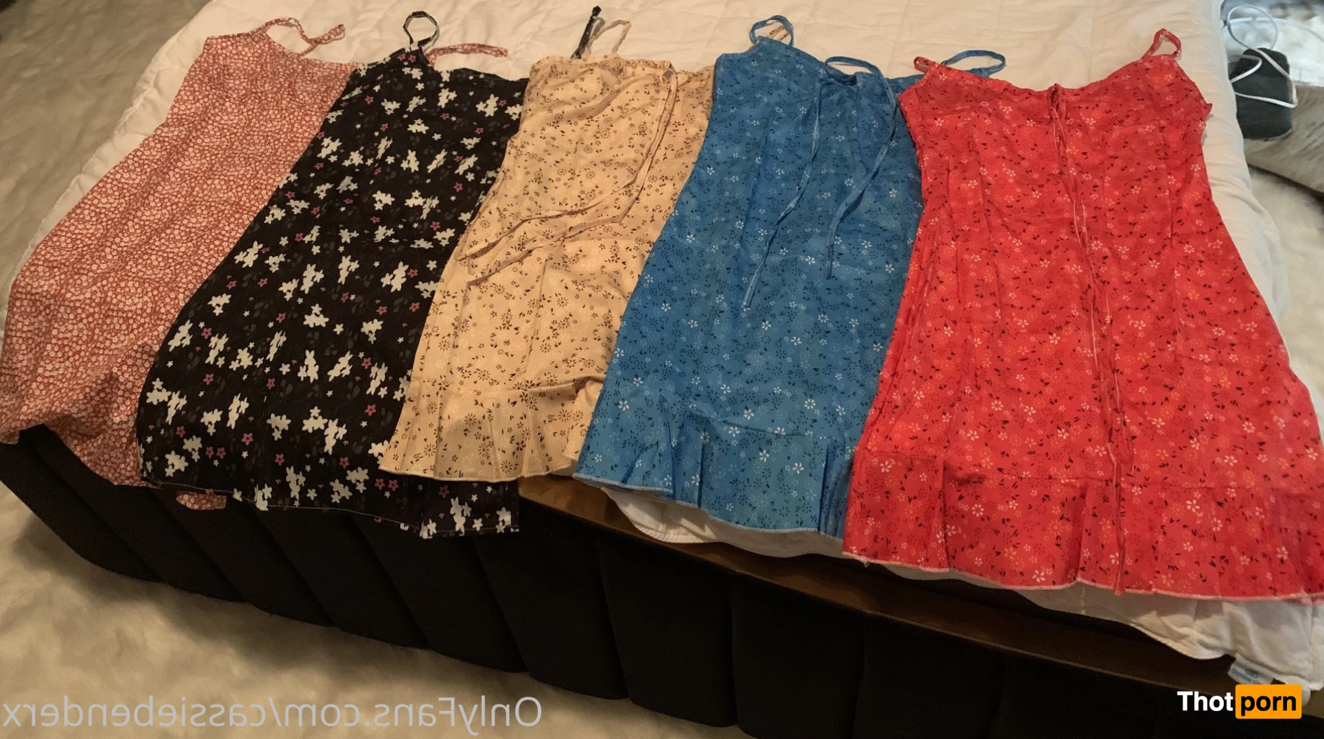 Cassie Bender 13448215