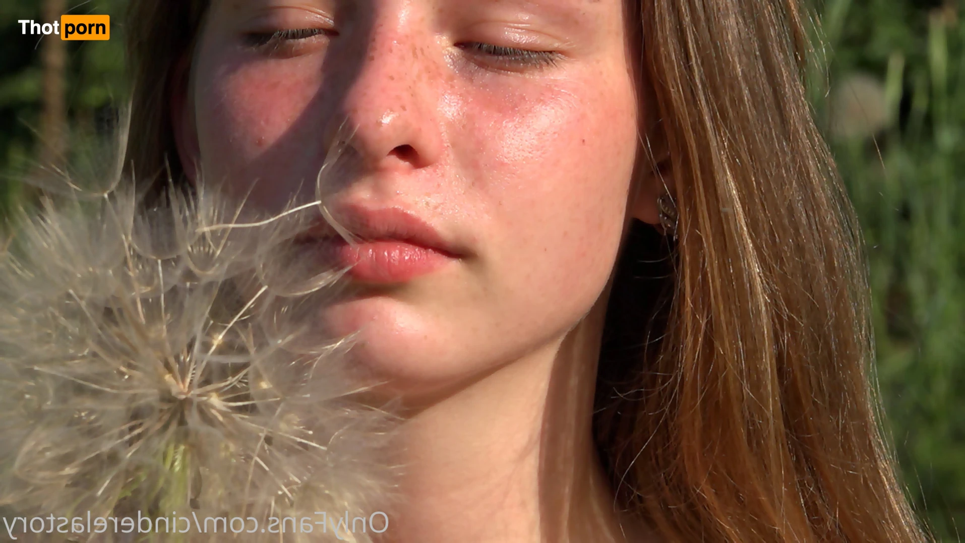 cinderelastory 16384134