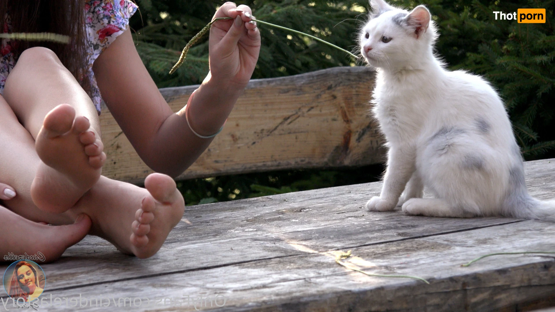 cinderelastory 16392553