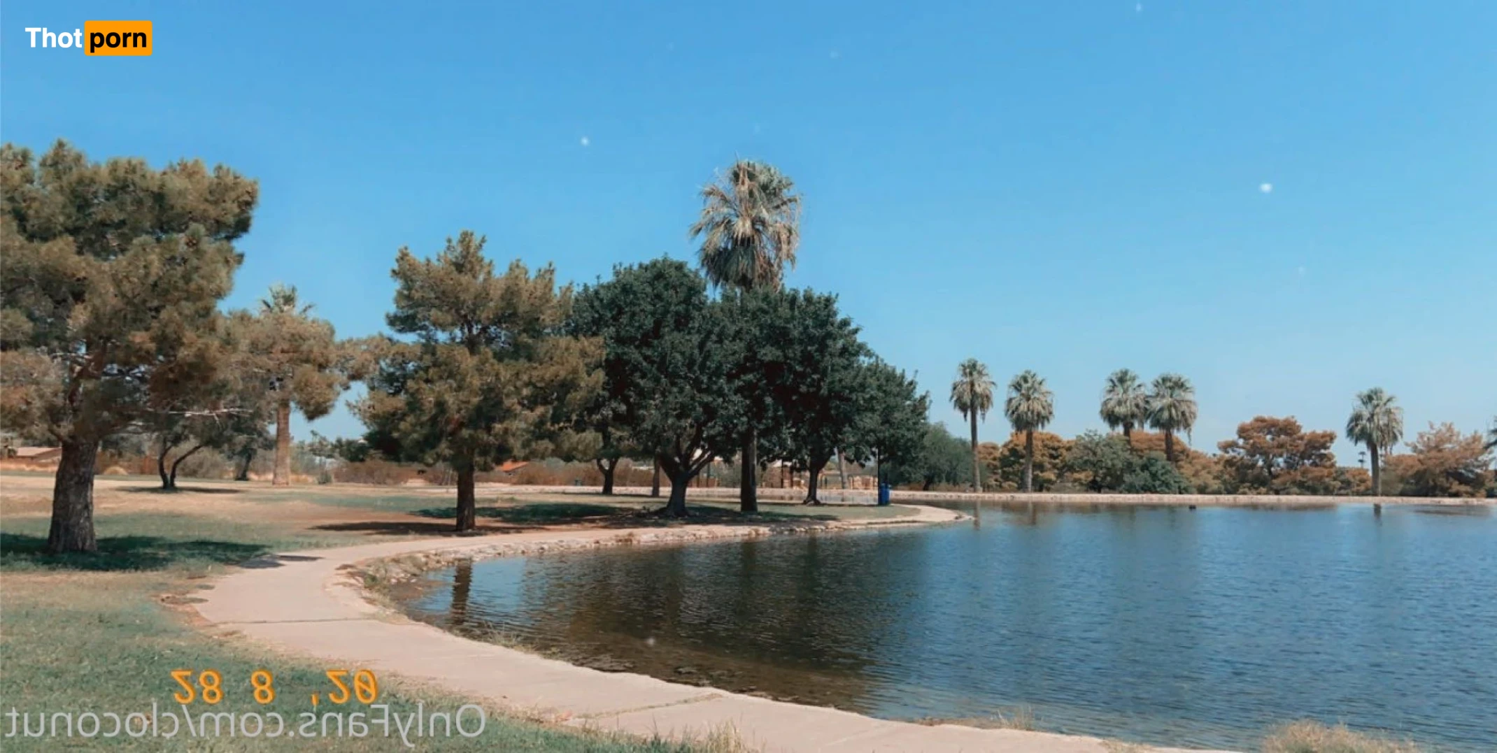 Cloconut 💗 11456969