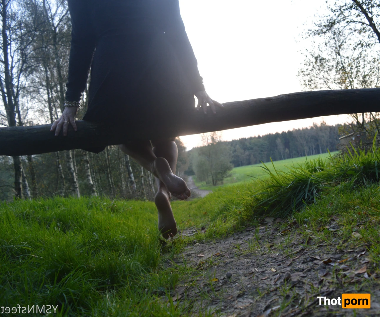 DELICIOUSDUTCHFEET 13536217