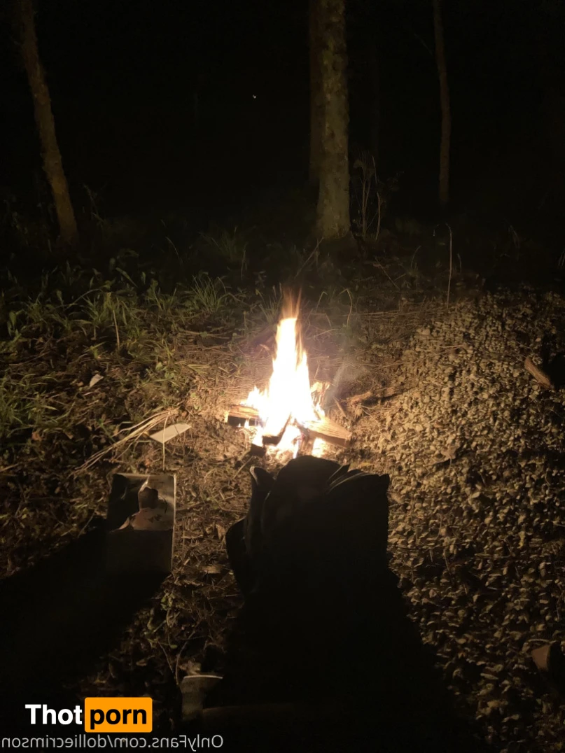 Dahlia (dollie) Crimson 14277273