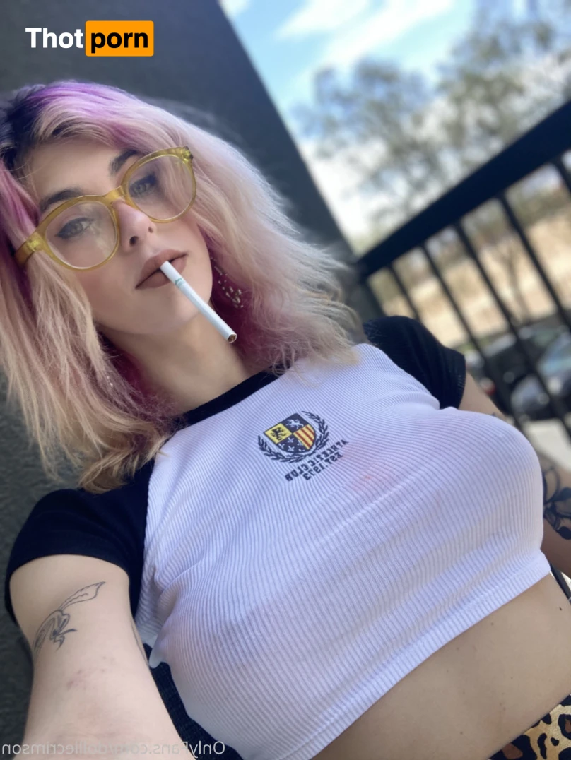 Dahlia (dollie) Crimson 14278908