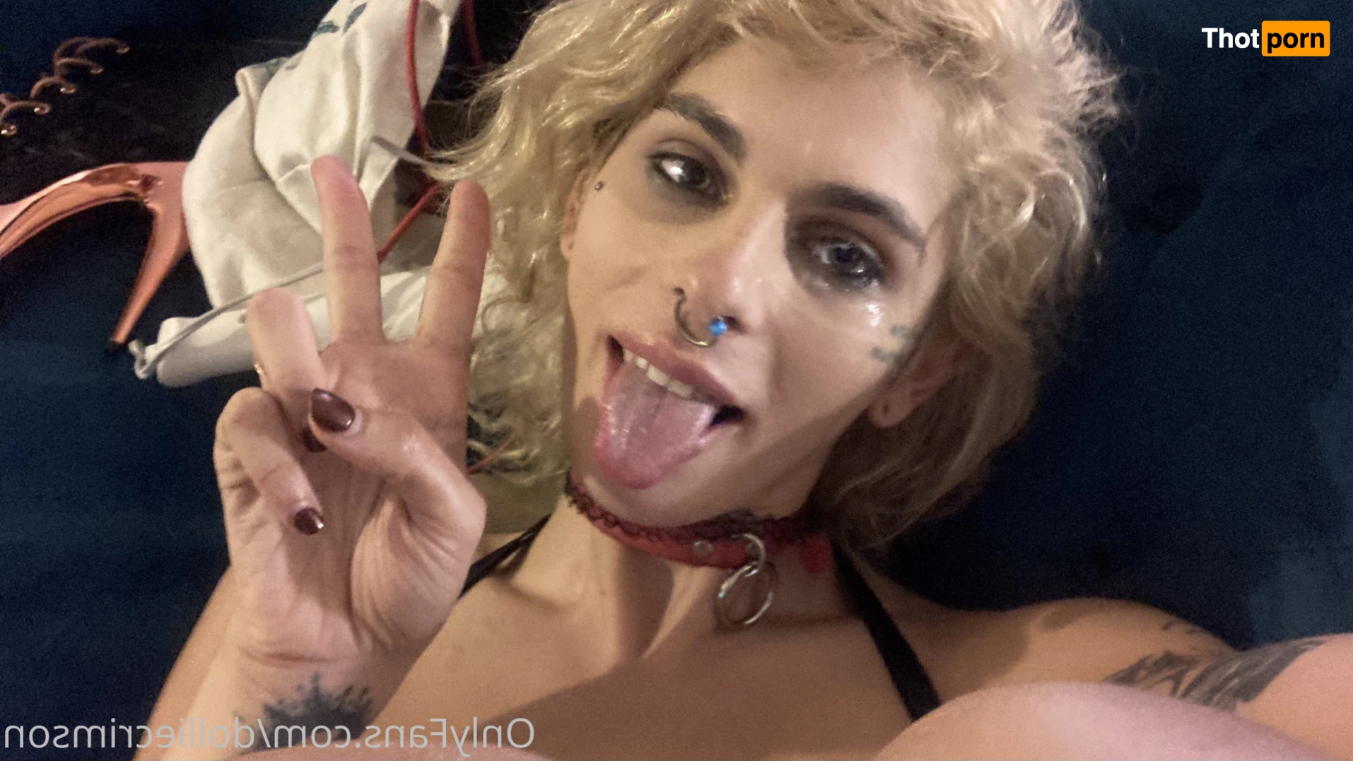 Dahlia (dollie) Crimson 14282447