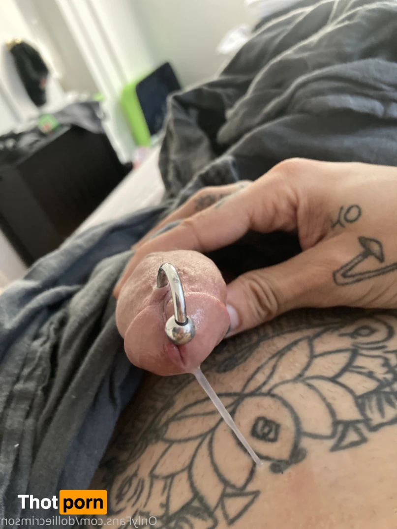 Dahlia (dollie) Crimson 14290357