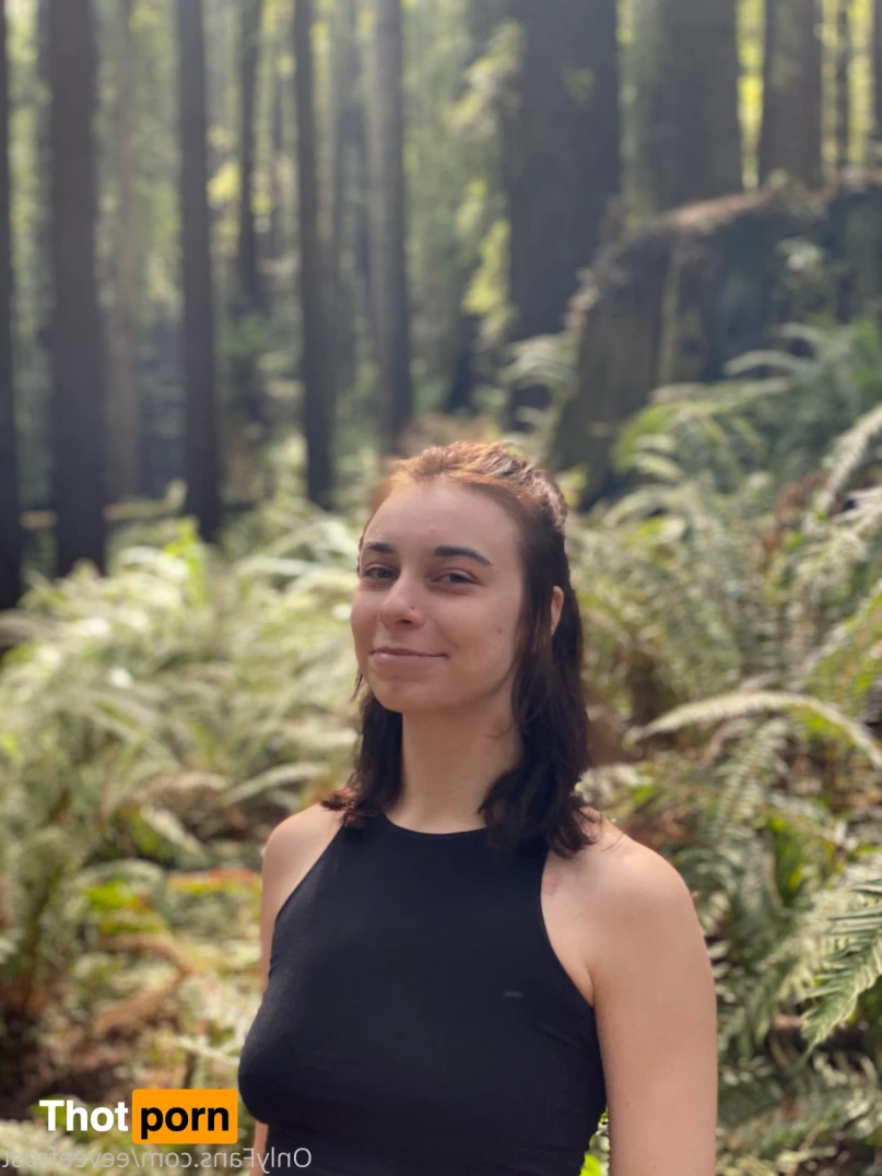 Eevee Frost 16492902