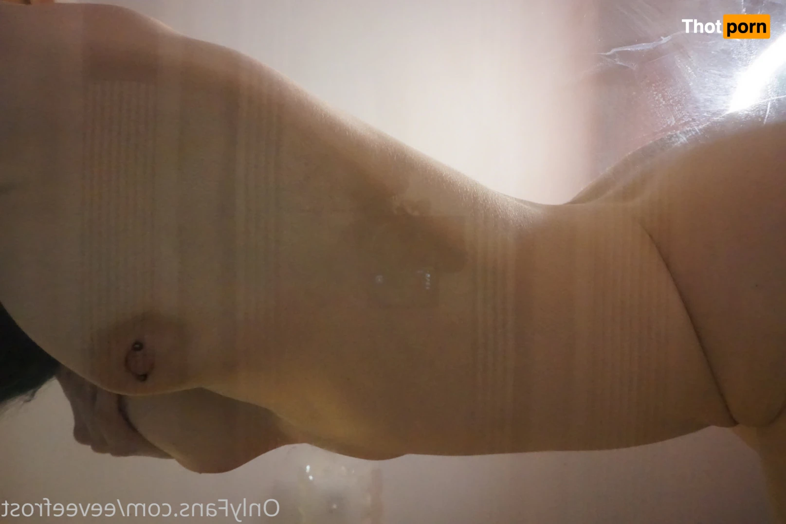 Eevee Frost 16493006