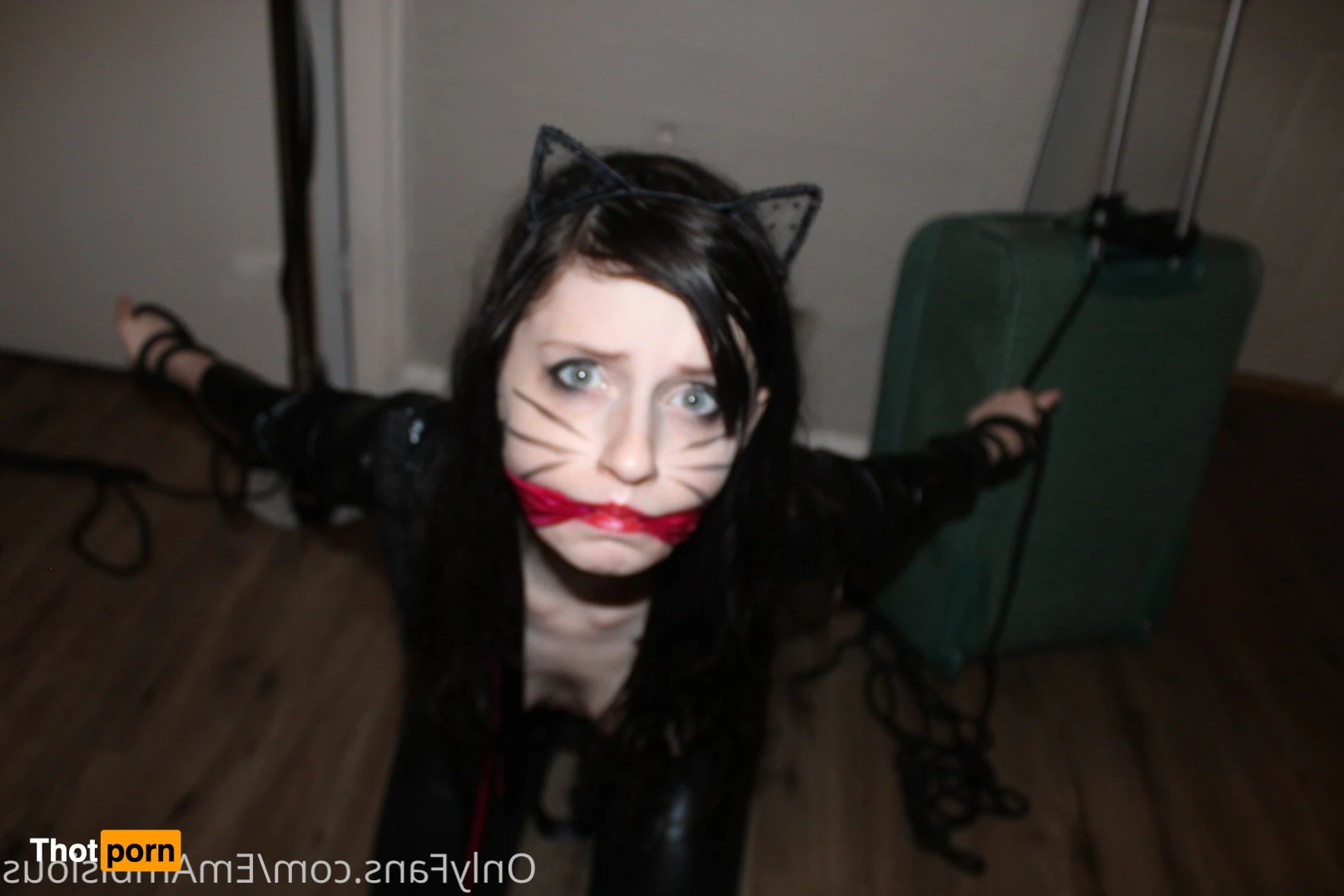 EmAmbisious 13239704